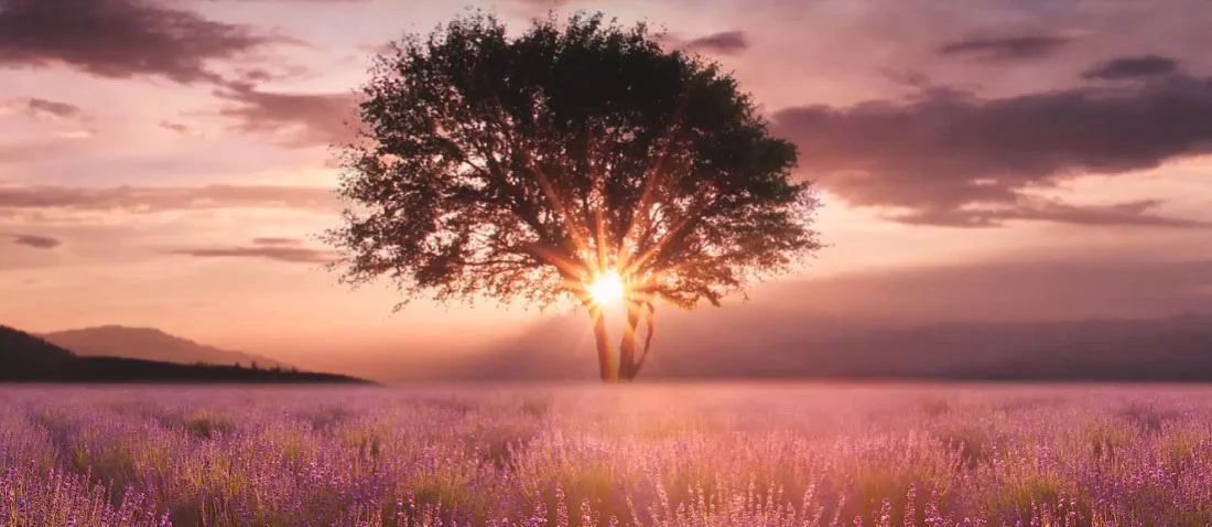 تلویزیون ال جی 65UQ70006LB