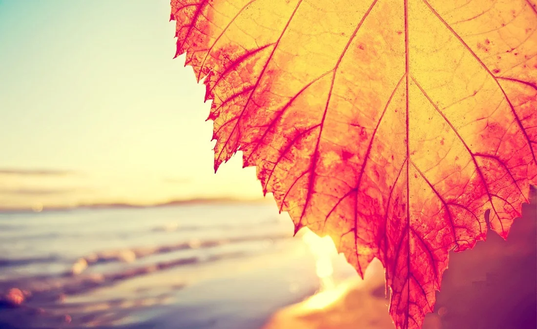 کیفیت تلویزیون جنرال مکسQC910