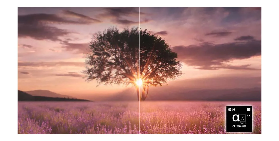 پردازنده تلویزیون ال جی 55UQ9000