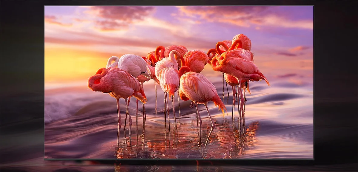 کیفیت تصویر تلویزیون سامسونگ QN90B