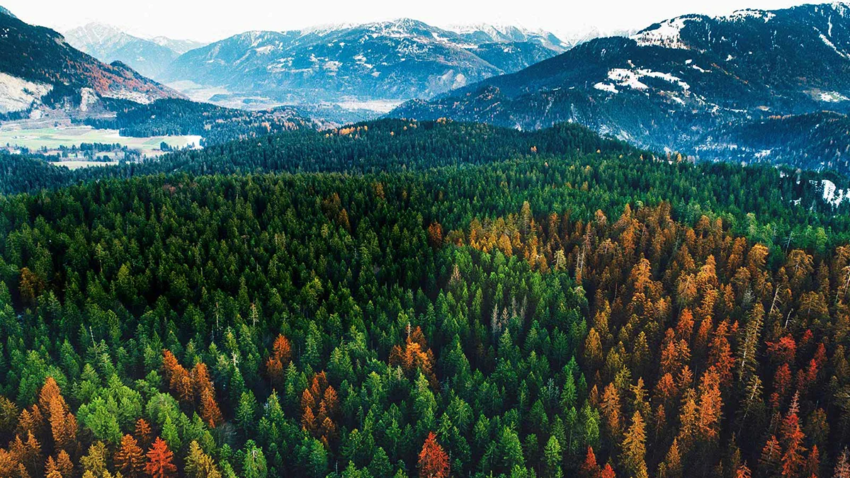 کیفیت صفحه نمایش