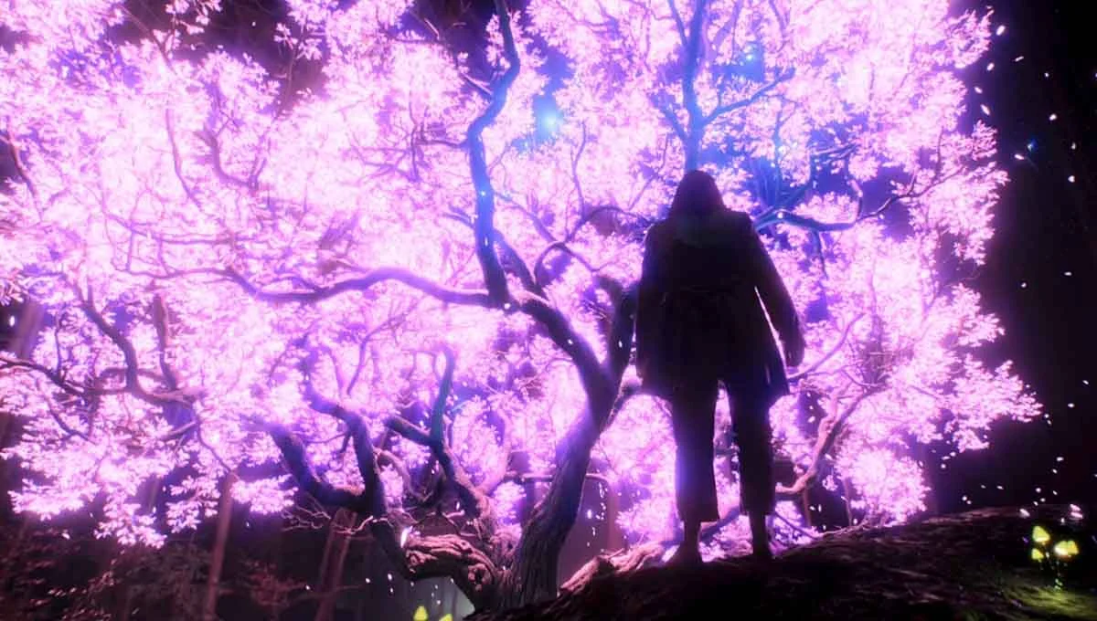 مقایسه تلویزیون های اولد G1 و C1 ال جی