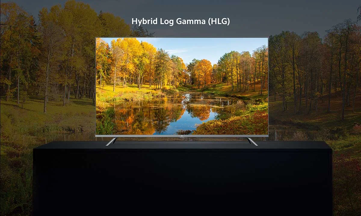 Check the capabilities of Xiaomi Q1 series Q1 TV