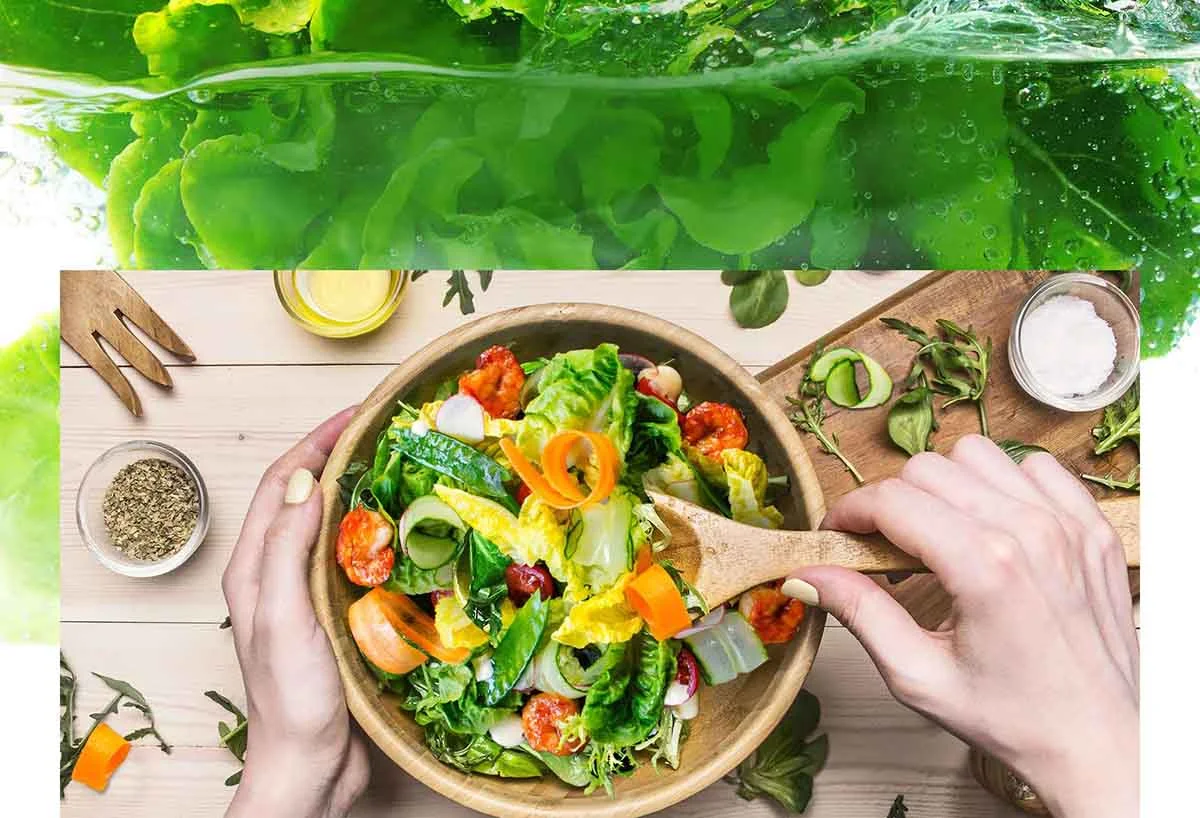 مقایسه یخچال های X29 و X39 ال جی