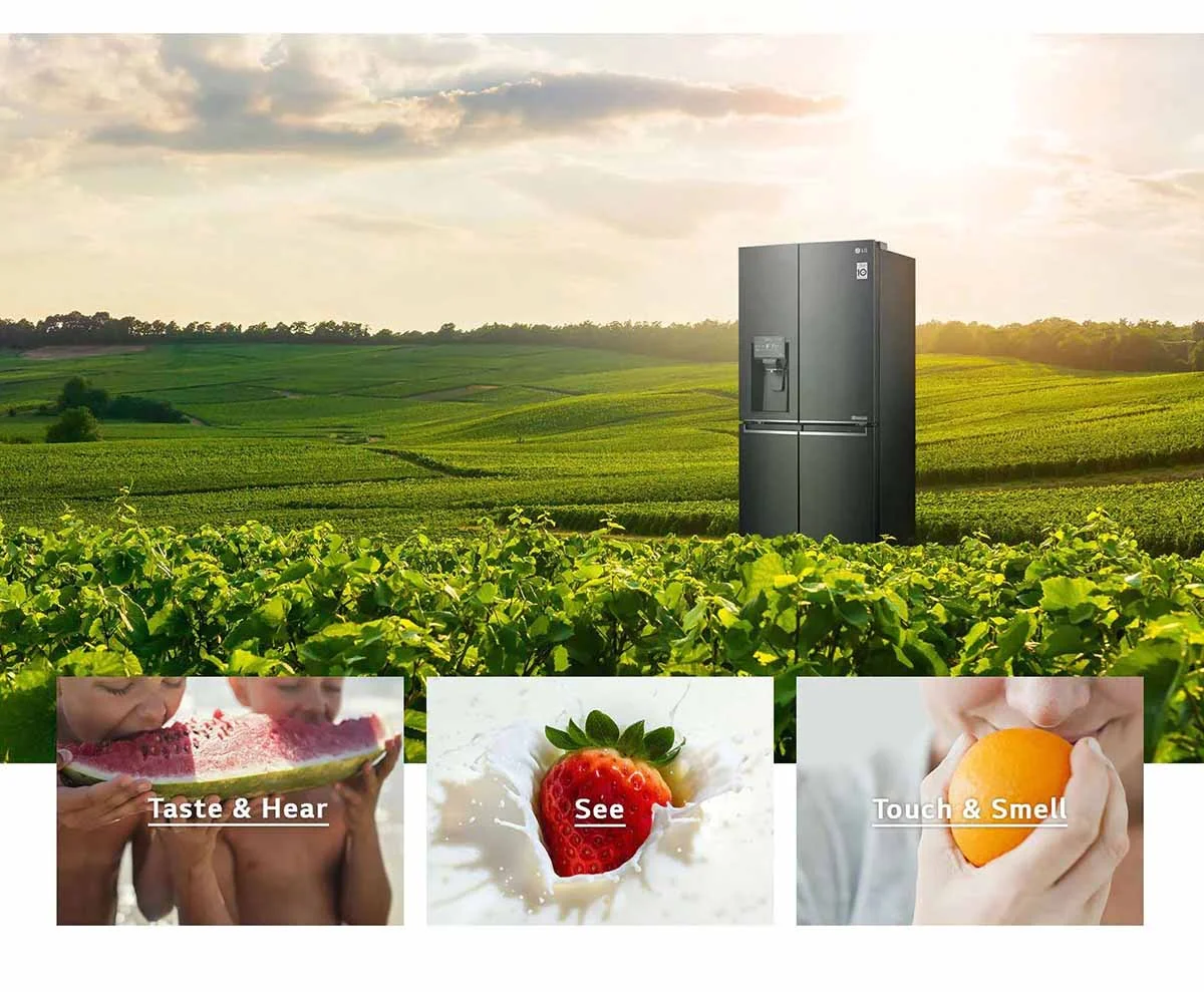 یخچال های J337 و J287 ال جی