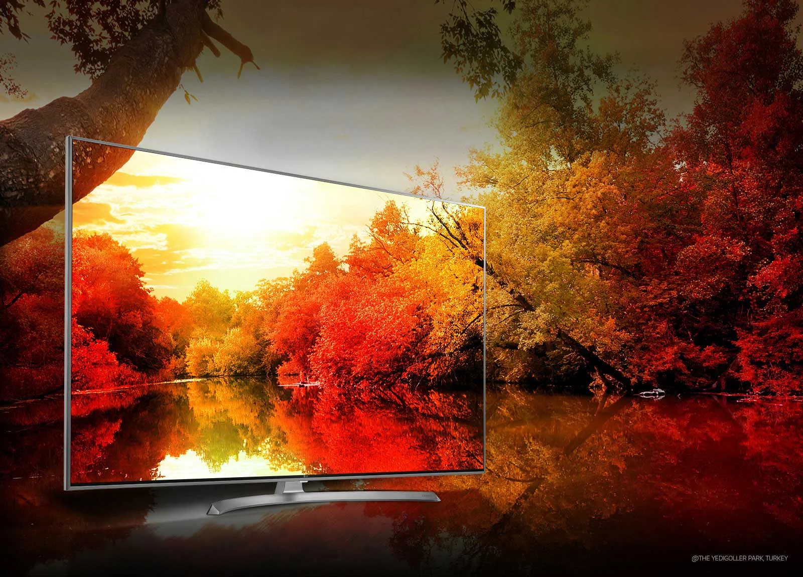 خرید تلویزیون ال جی NANO82