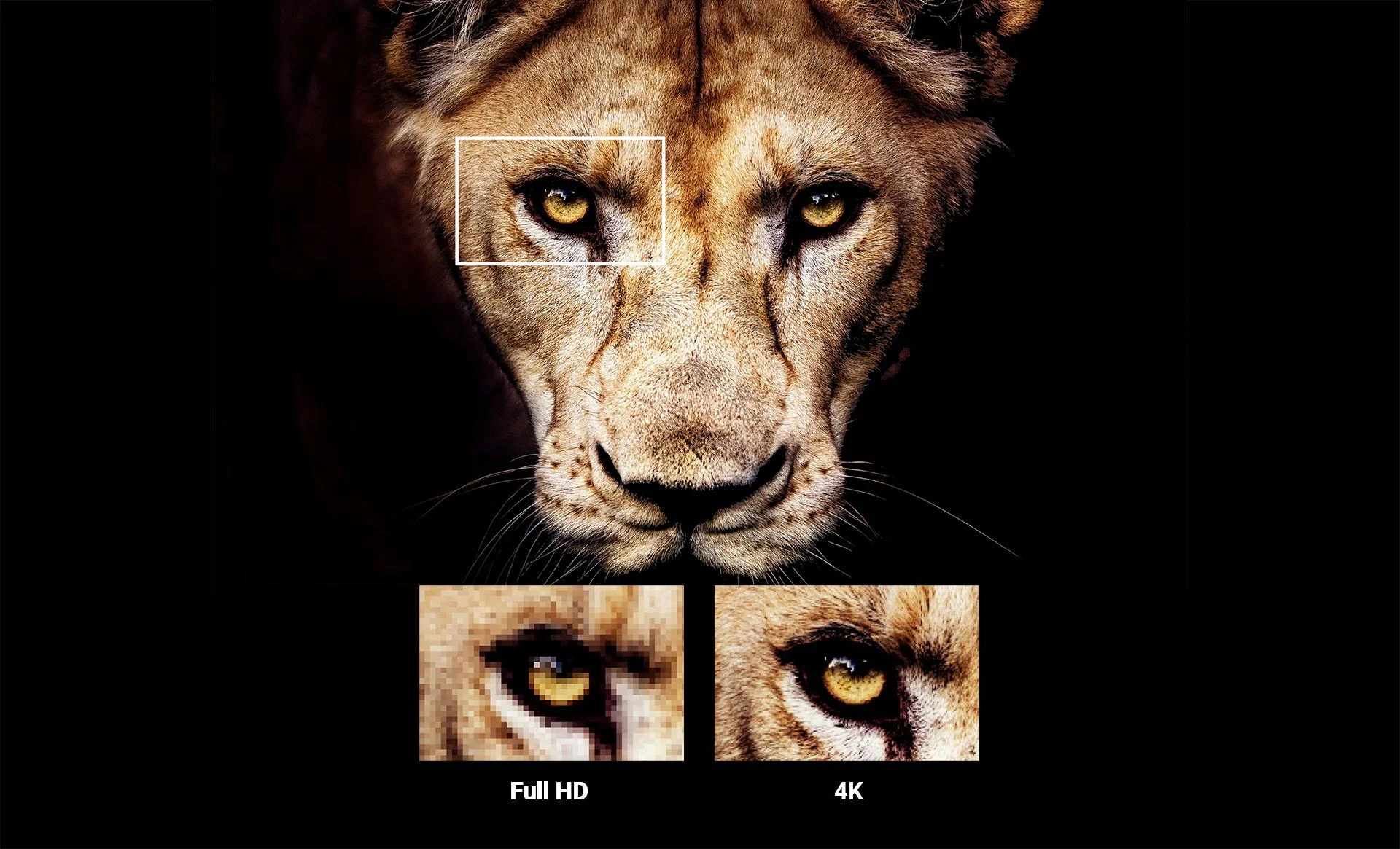 تلویزیون  50U7880