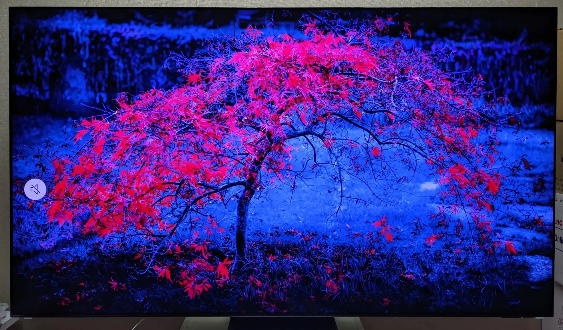 تلویزیون 77 اینچ سامسونگ S95C اسمارت مدل 77S95C