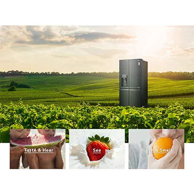 قیمت خرید یخچال ساید ال جی X29