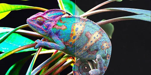 صفحه نمایش تلویزیون های شیائومی