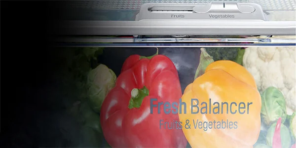 امکانات یخچال ال جی X29