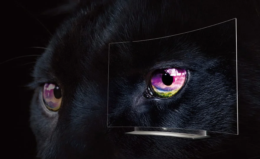 خرید تلویزیون 55 اینچ ال جی cs