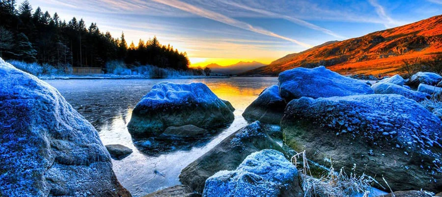 تلویزیون شارپ مدل 42BD1X