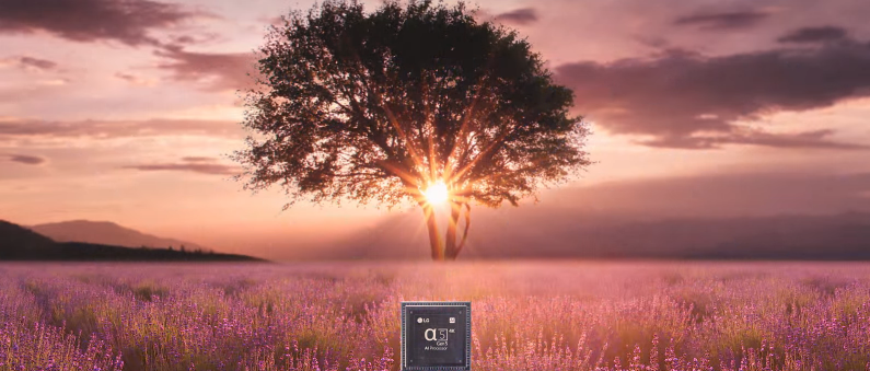 پردازنده تلویزیون ال جی 55UQ800