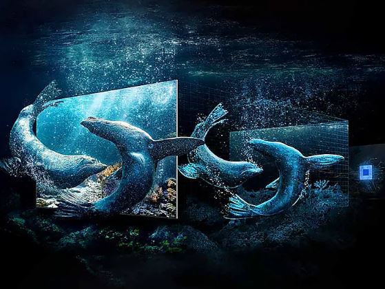 پردزانده تلویزیون سامسونگ QN800C