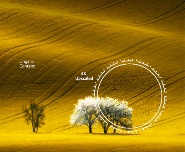 کیفیت تصویر تلویزیون ال جی UQ8100