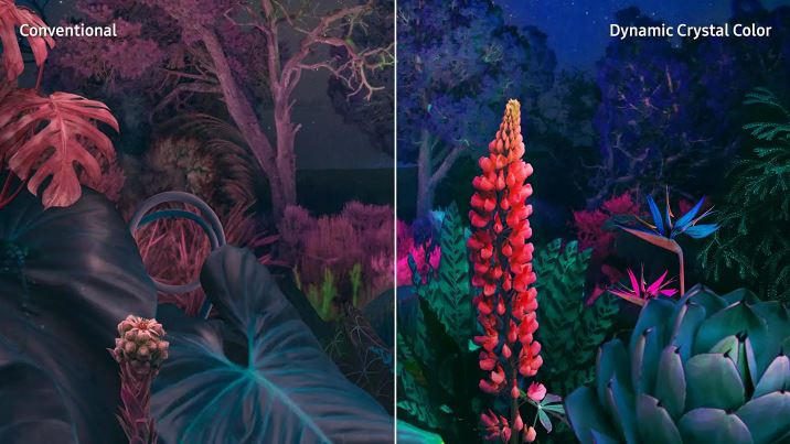 کیفیت تلویزیون سامسونگ CU8100