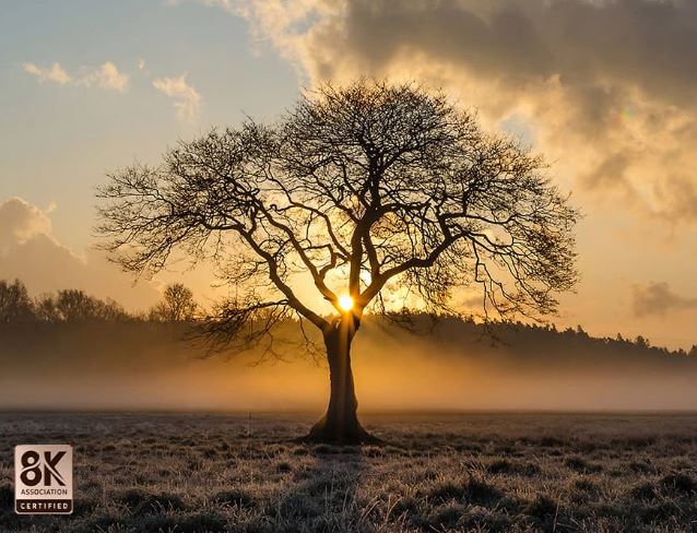 مشخصات تلویزیون سامسونگ 65qn900c